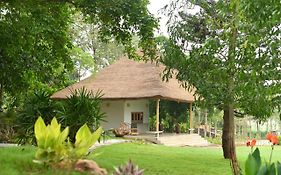Fireflies Kabini